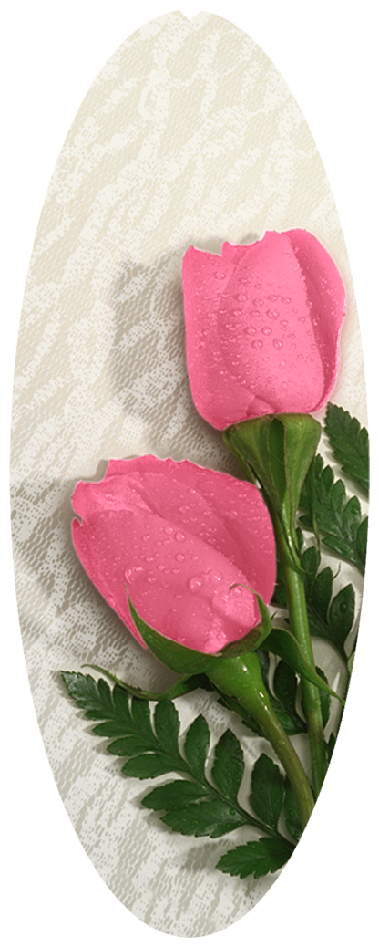 DNSA18-054 2 Roses Pink